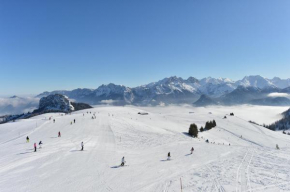 Wohnung Hallenstein 47, Lofer, Österreich